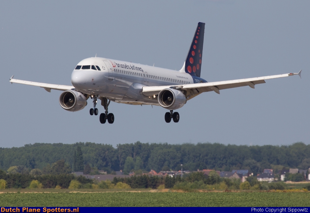 OO-TCQ Airbus A320 Brussels Airlines by Sippowitz