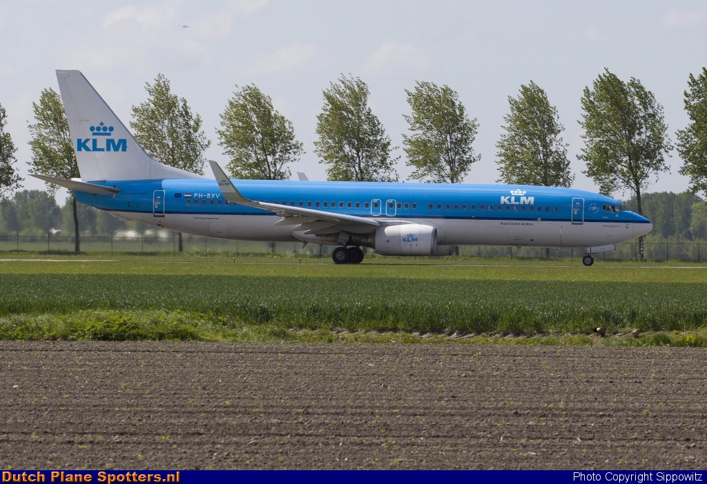 PH-BXV Boeing 737-800 KLM Royal Dutch Airlines by Sippowitz