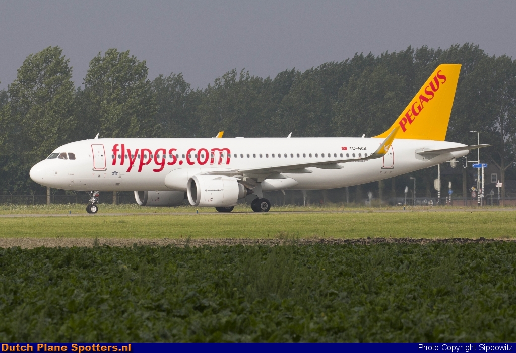 TC-NCB Airbus A320neo Pegasus by Sippowitz