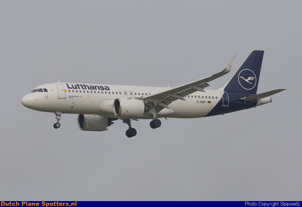 D-AINP Airbus A320neo Lufthansa by Sippowitz