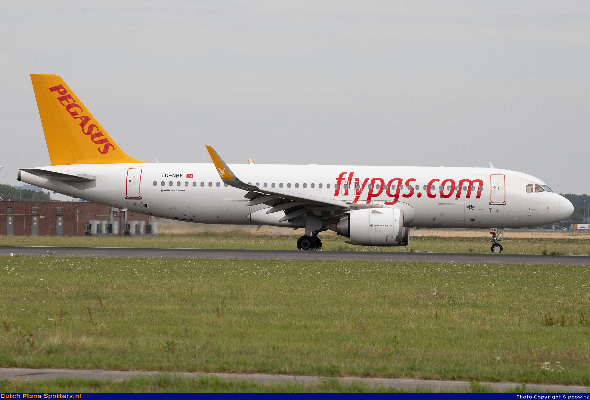 TC-NBF Airbus A320neo Pegasus by Sippowitz