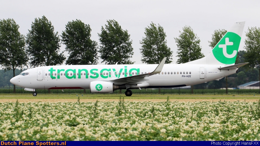 PH-HZE Boeing 737-800 Transavia by HansFXX