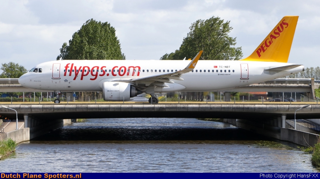 TC-NBT Airbus A320neo Pegasus by HansFXX